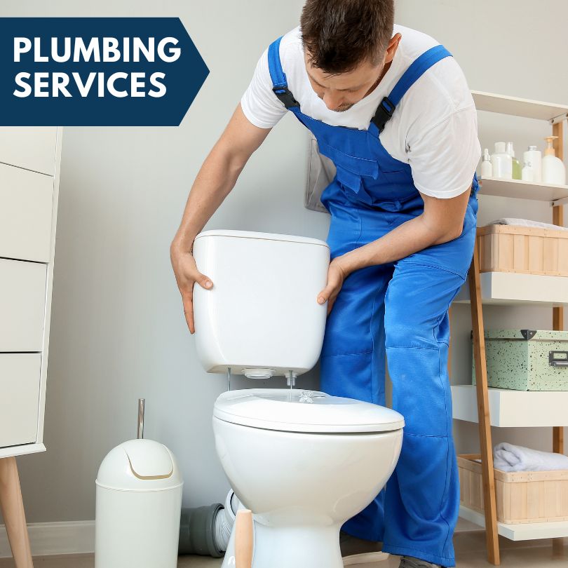 Plumbing Company in Lakeview, MI